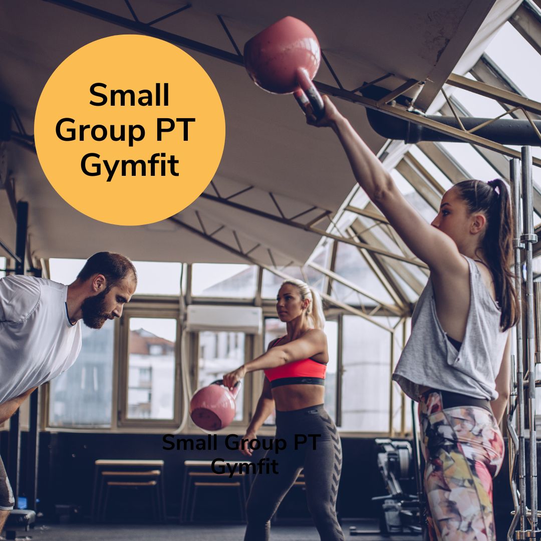 Small Group PT Gymfit